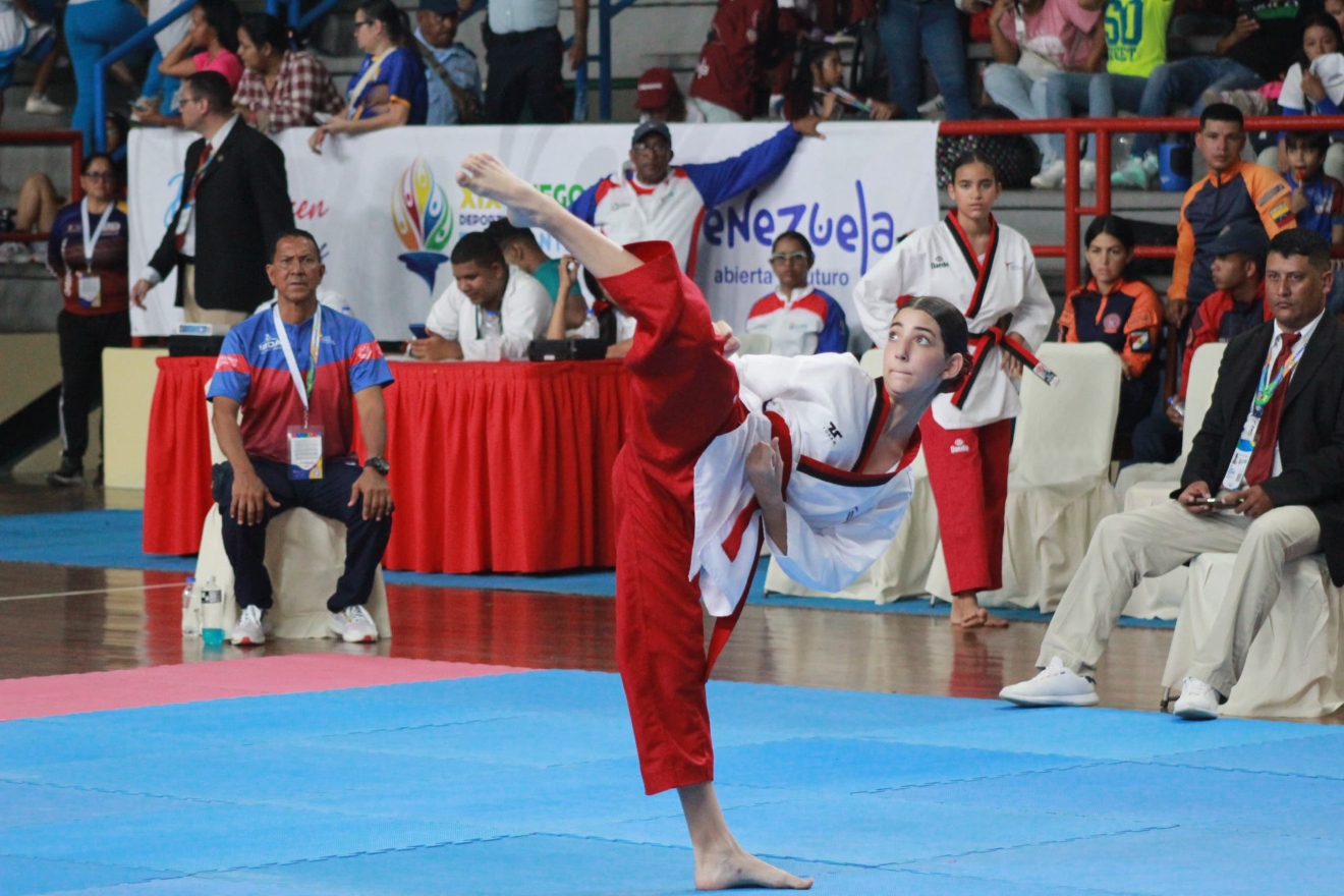 Taekwondo