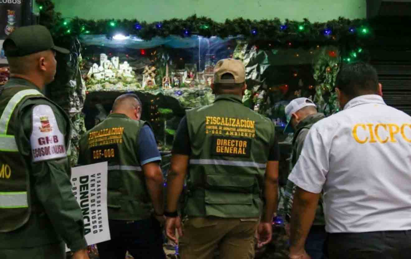 Más de 3 mil funcionarios desplegados operativo nacional contra extracción de musgo en temporada navideña