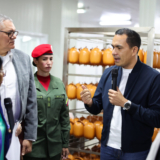 JC_L0863-1-1536x1024