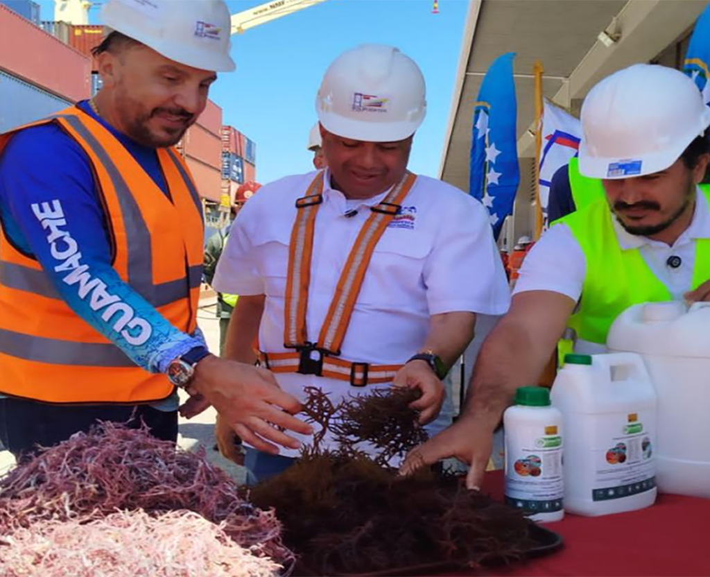 Venezuela impulsa exportaciones de productos del mar hacia Japón y Chile desde El Guamache