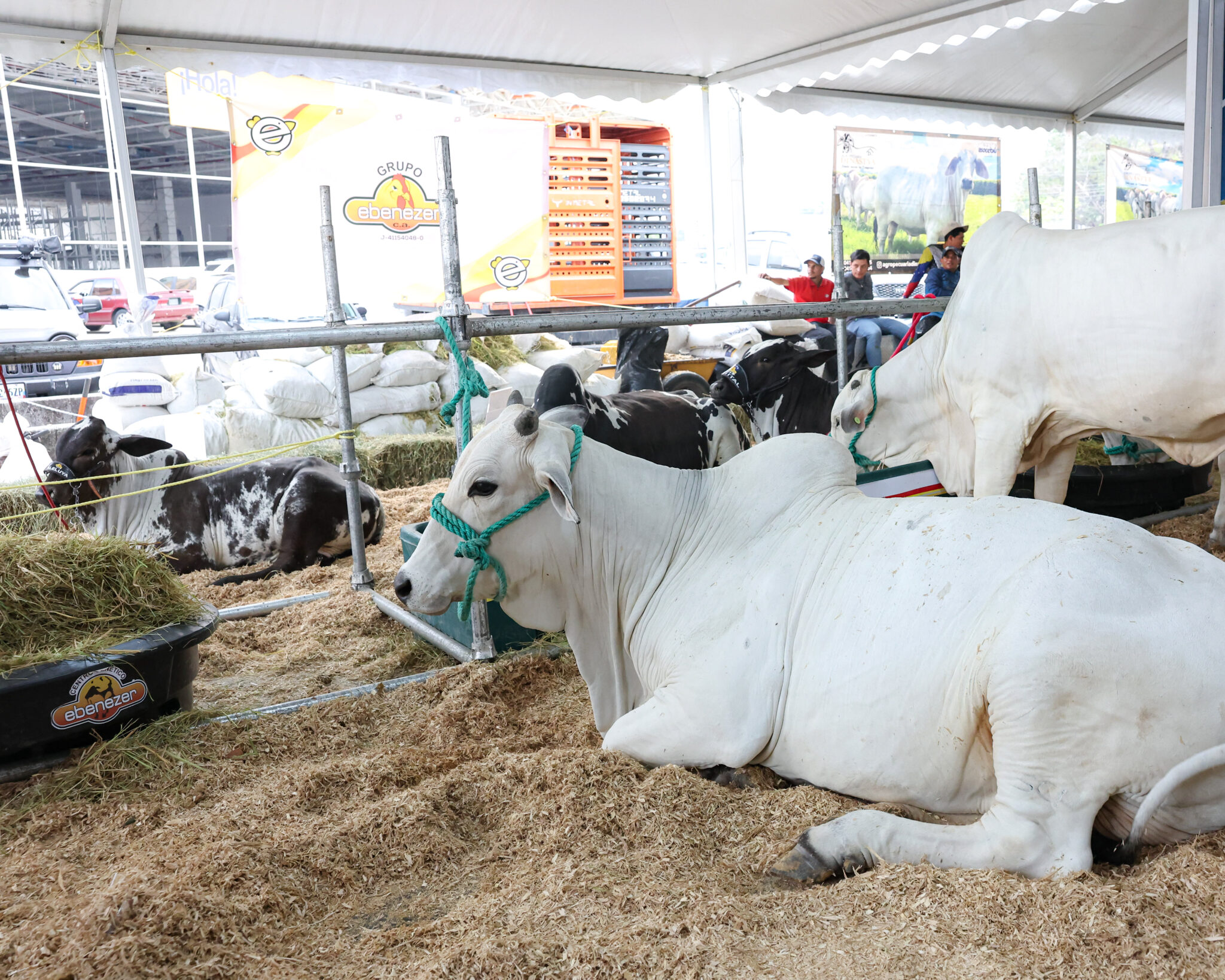 Presidenta (E) Delcy Rodríguez lidera el lanzamiento de la primera edición de la «Expo Fedecámaras Portuguesa»