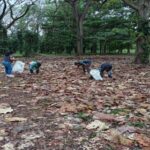 Plan Chuquisaca avanza con pie firme en fase de recolección de semillas