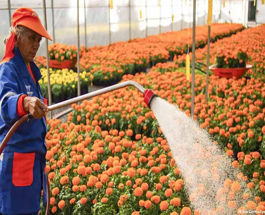 Sheinbaum promulga reforma que reduce la jornada laboral a 40 horas semanales