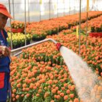 Sheinbaum promulga reforma que reduce la jornada laboral a 40 horas semanales