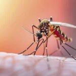 Ministerio de Salud establece lineamientos obligatorios para viajeros ante circulación de fiebre amarilla